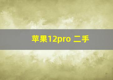 苹果12pro 二手